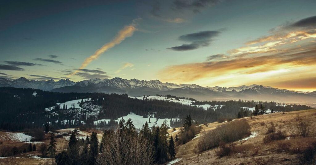 picsum id: 547