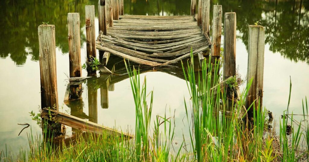 picsum id: 217