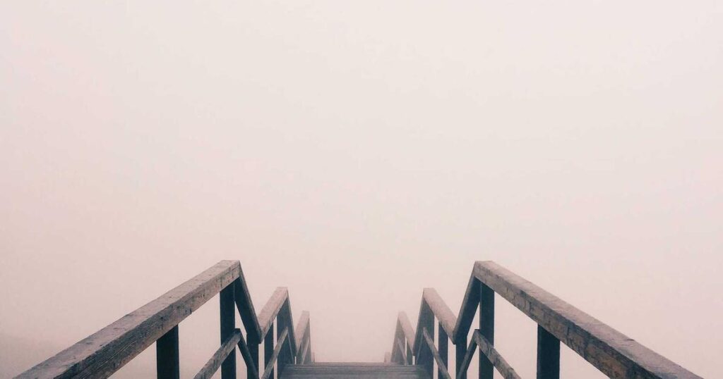 picsum id: 842