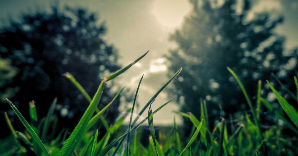 picsum id: 89