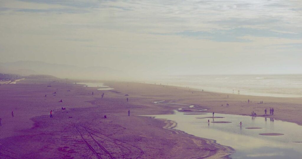 picsum id: 267