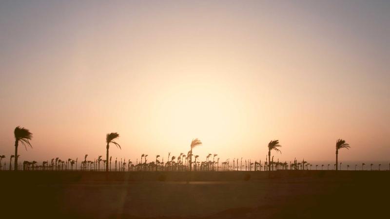 5 aplicativos brasileiros que estão mudando a vida